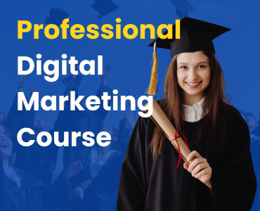 Professional Digital Marketing Course